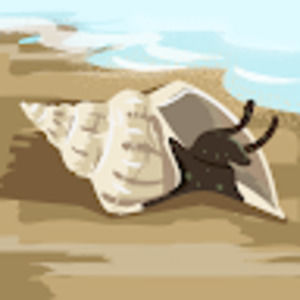 Meet your Posher, Sofia